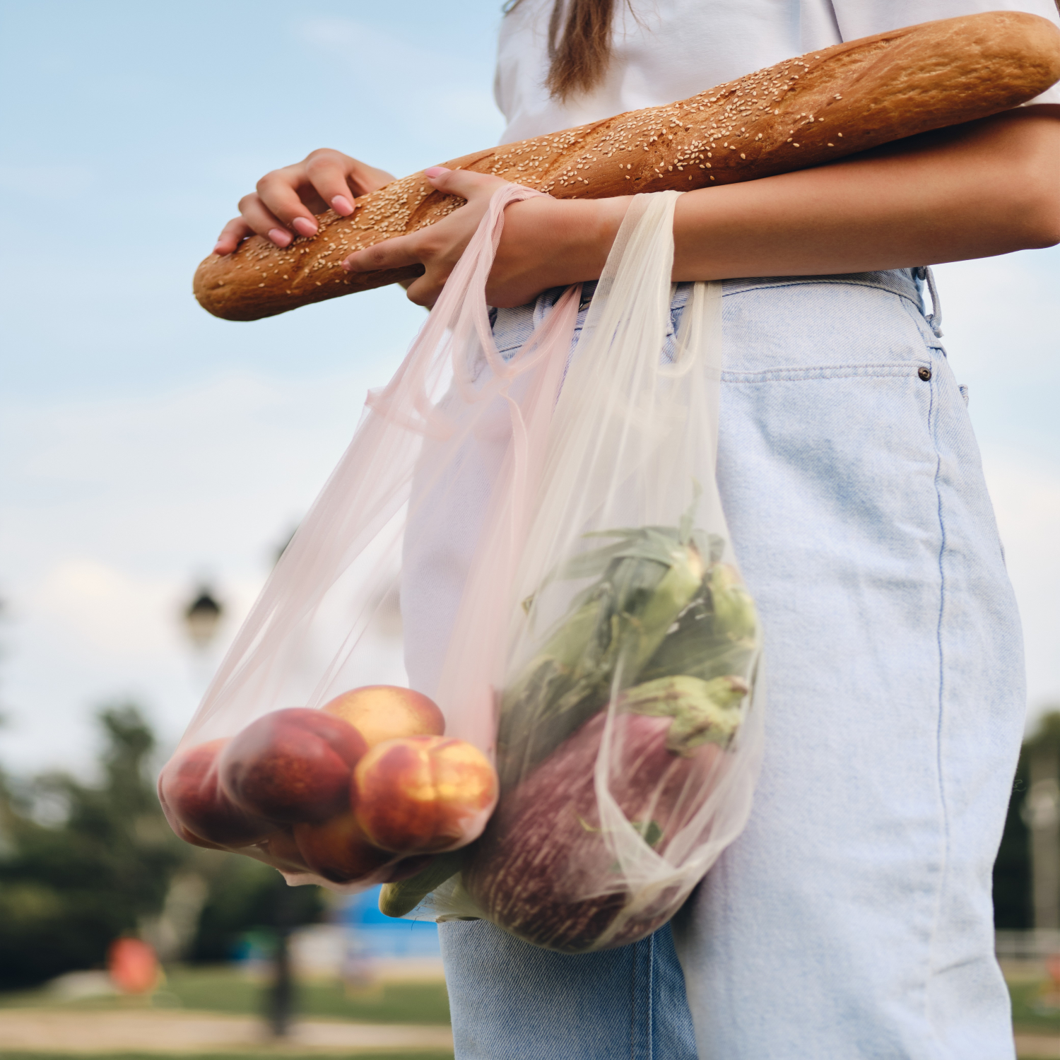 Carry & Shopping Bag