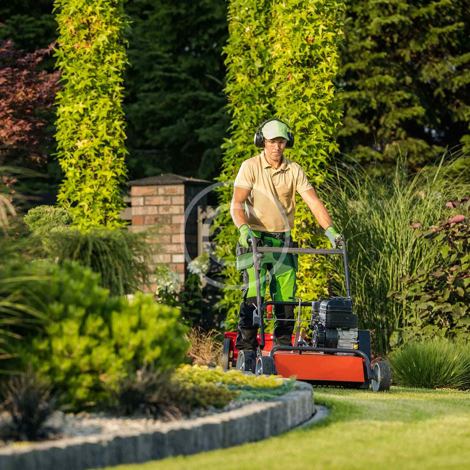 Planting and caring for trees